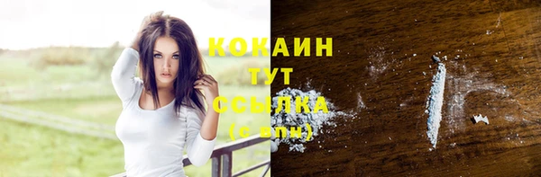 прущие грибы Бронницы