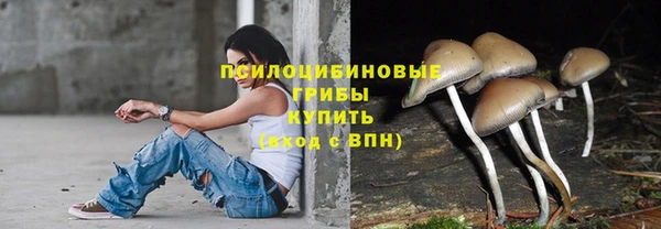 прущие грибы Бронницы