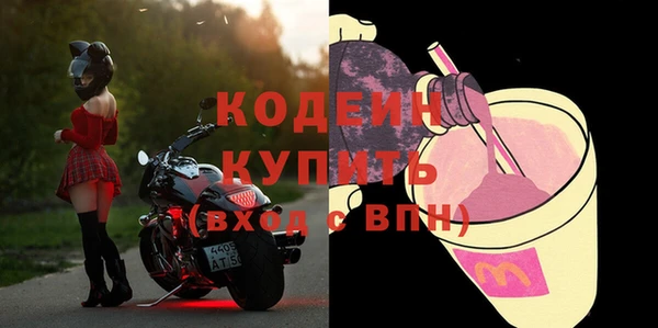 прущие грибы Бронницы