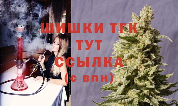 прущие грибы Бронницы
