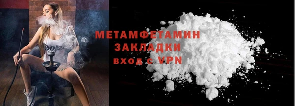 прущие грибы Бронницы