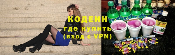 прущие грибы Бронницы