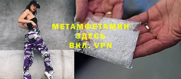 прущие грибы Бронницы