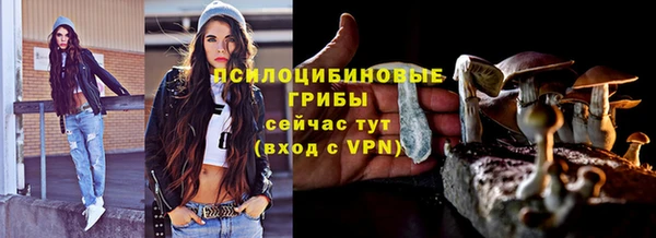 прущие грибы Бронницы