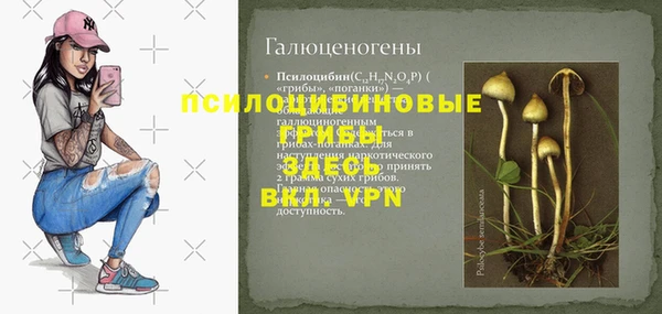 не бодяженный Бородино